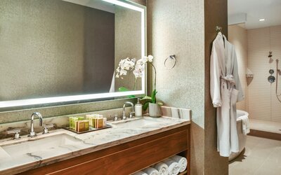 Hilton Dallas/Park Cities