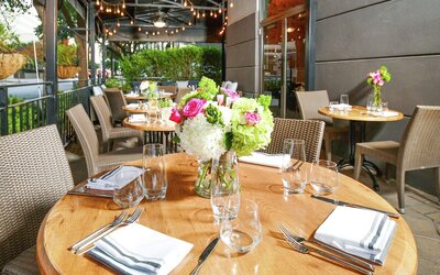 Hilton Dallas/Park Cities