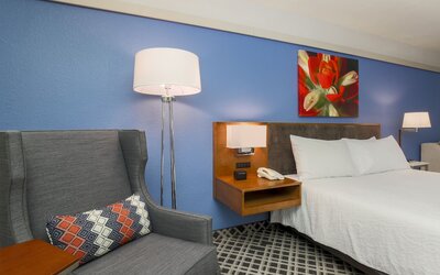 Hilton Garden Inn Dallas/Market Center