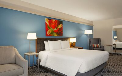 Hilton Garden Inn Dallas/Market Center
