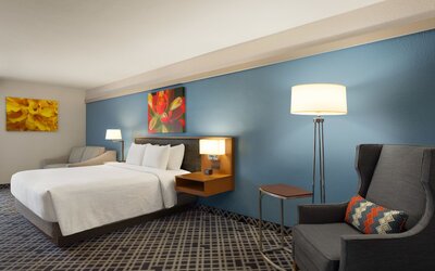 Hilton Garden Inn Dallas/Market Center