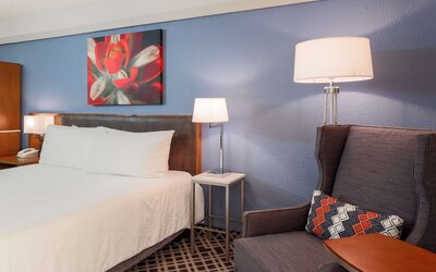 Hilton Garden Inn Dallas/Market Center