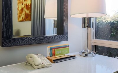 Hilton Garden Inn Dallas/Market Center