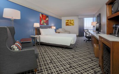 Hilton Garden Inn Dallas/Market Center