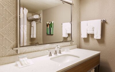 Hilton Garden Inn Dallas/Market Center