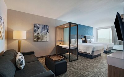 SpringHill Suites by Marriott Dallas Richardson/University Area