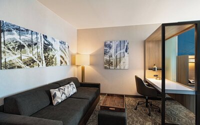 SpringHill Suites by Marriott Dallas Richardson/University Area