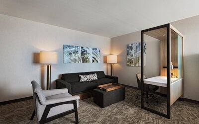 SpringHill Suites by Marriott Dallas Richardson/University Area