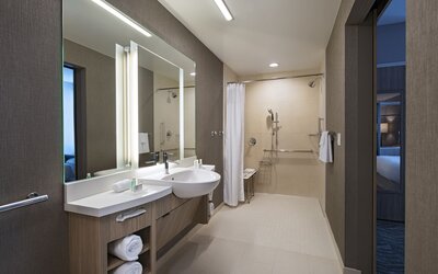 SpringHill Suites by Marriott Dallas Richardson/University Area