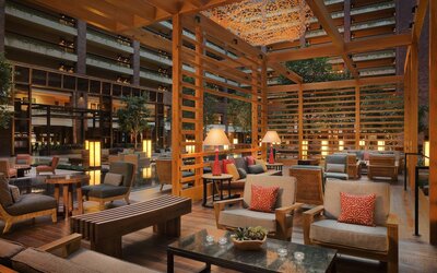 Hilton Anatole