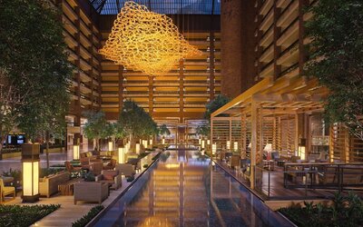 Hilton Anatole