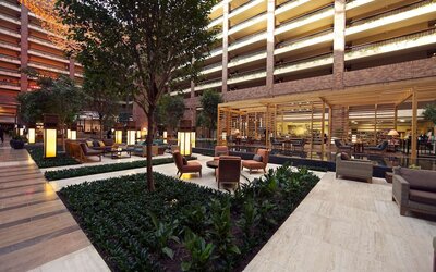 Hilton Anatole