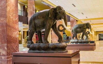Hilton Anatole