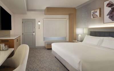 Hilton Anatole
