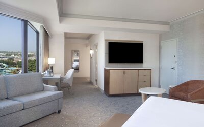Hilton Anatole