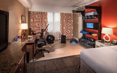 Hilton Anatole