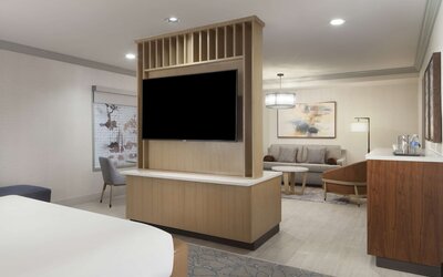 Hilton Anatole