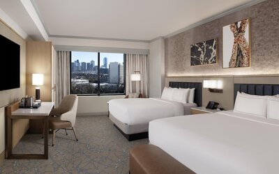 Hilton Anatole
