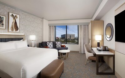 Hilton Anatole