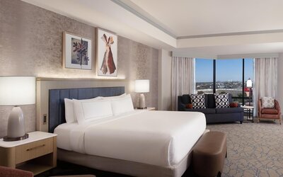Hilton Anatole