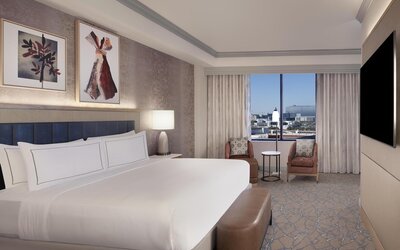 Hilton Anatole