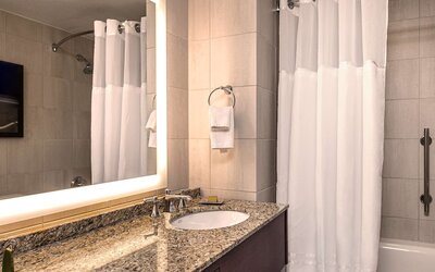 Hilton Anatole