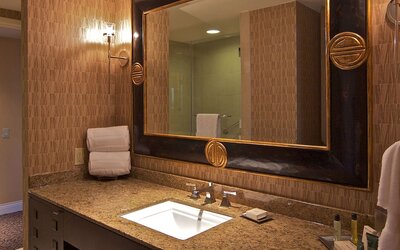 Hilton Anatole