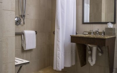 Hilton Anatole