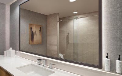 Hilton Anatole