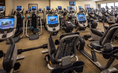 Hilton Anatole