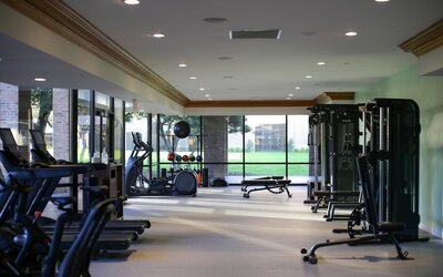 Hilton Anatole