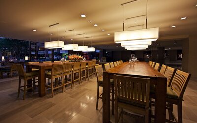 Hilton Anatole