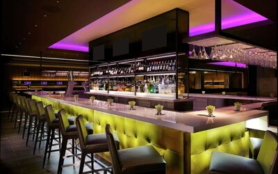 Hilton Anatole