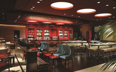 Hilton Anatole