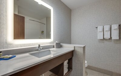 Holiday Inn Express & Suites Dallas North - Addison by IHG