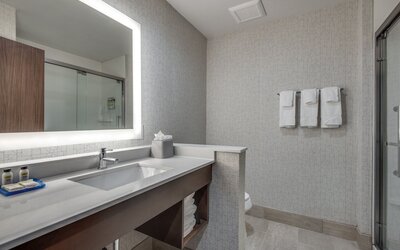 Holiday Inn Express & Suites Dallas North - Addison by IHG