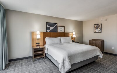 Staybridge Suites Dallas Market Ctr Love Field by IHG