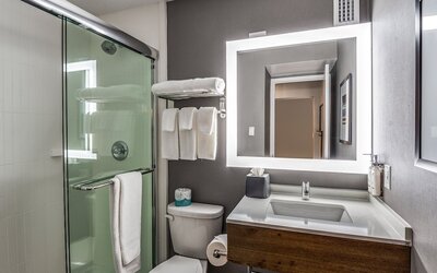 Staybridge Suites Dallas Market Ctr Love Field by IHG