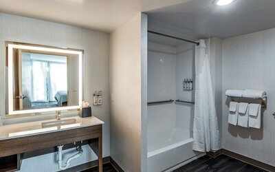 Holiday Inn Dallas Market Ctr Love Field by IHG