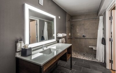 Holiday Inn Dallas Market Ctr Love Field by IHG