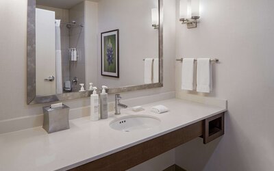 Hilton Garden Inn Downtown Dallas