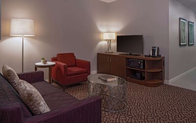 Hilton Garden Inn Downtown Dallas