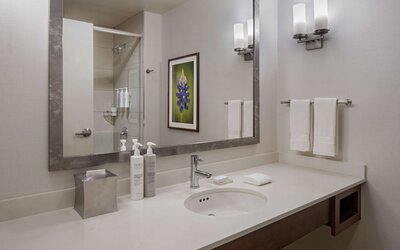 Hilton Garden Inn Downtown Dallas