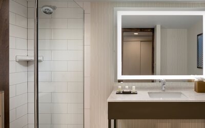 Embassy Suites by Hilton Dallas Love Field