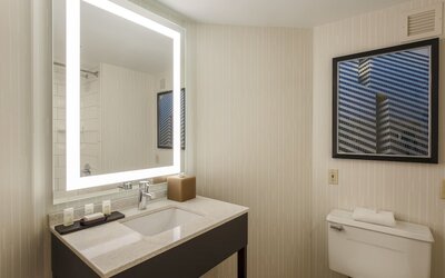 Embassy Suites by Hilton Dallas Love Field