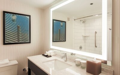 Embassy Suites by Hilton Dallas Love Field