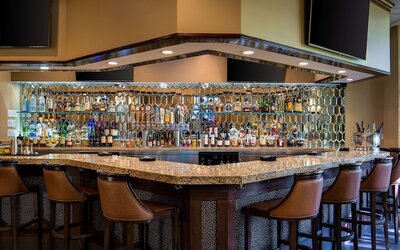 Embassy Suites by Hilton Dallas Love Field