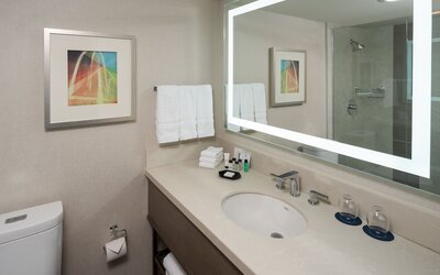 Sheraton Dallas Hotel by the Galleria