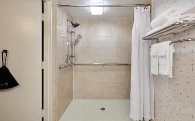 Crowne Plaza Dallas Downtown by IHG