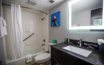 La Quinta Inn & Suites by Wyndham Dallas I-35 Walnut Hill Ln